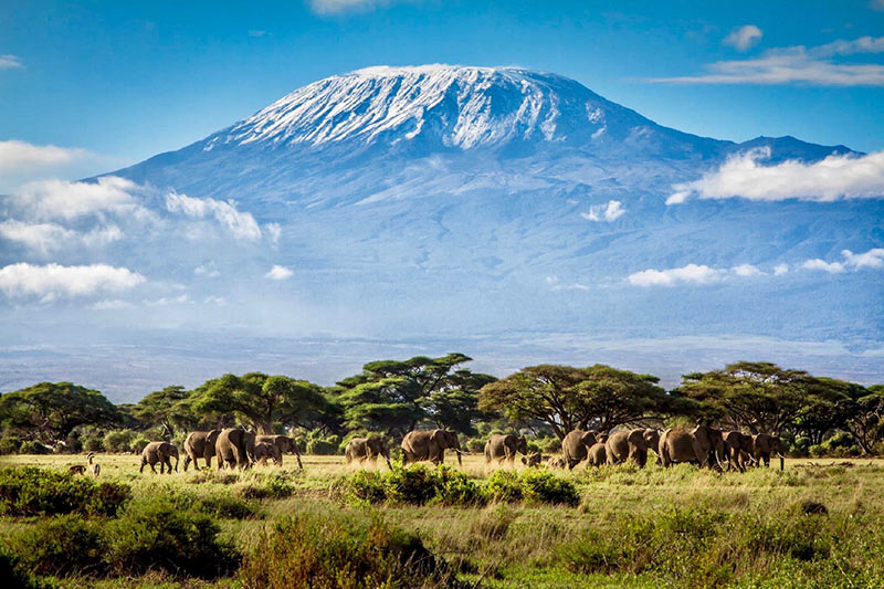 Kilimanjaro-Safari-a-caballo-10
