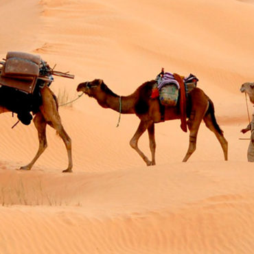 Desiertos